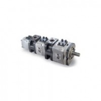 CML internal gear pump IG series